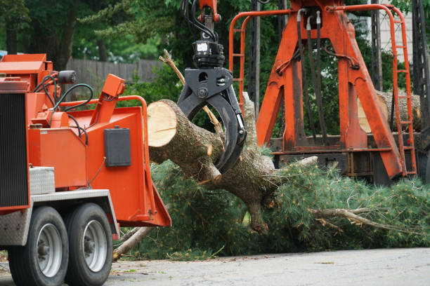 Best Grass Overseeding  in Groveport, OH